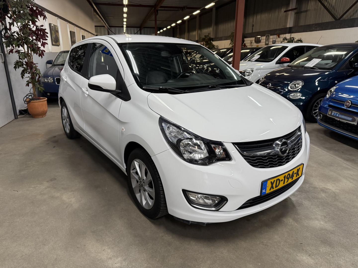 Opel
