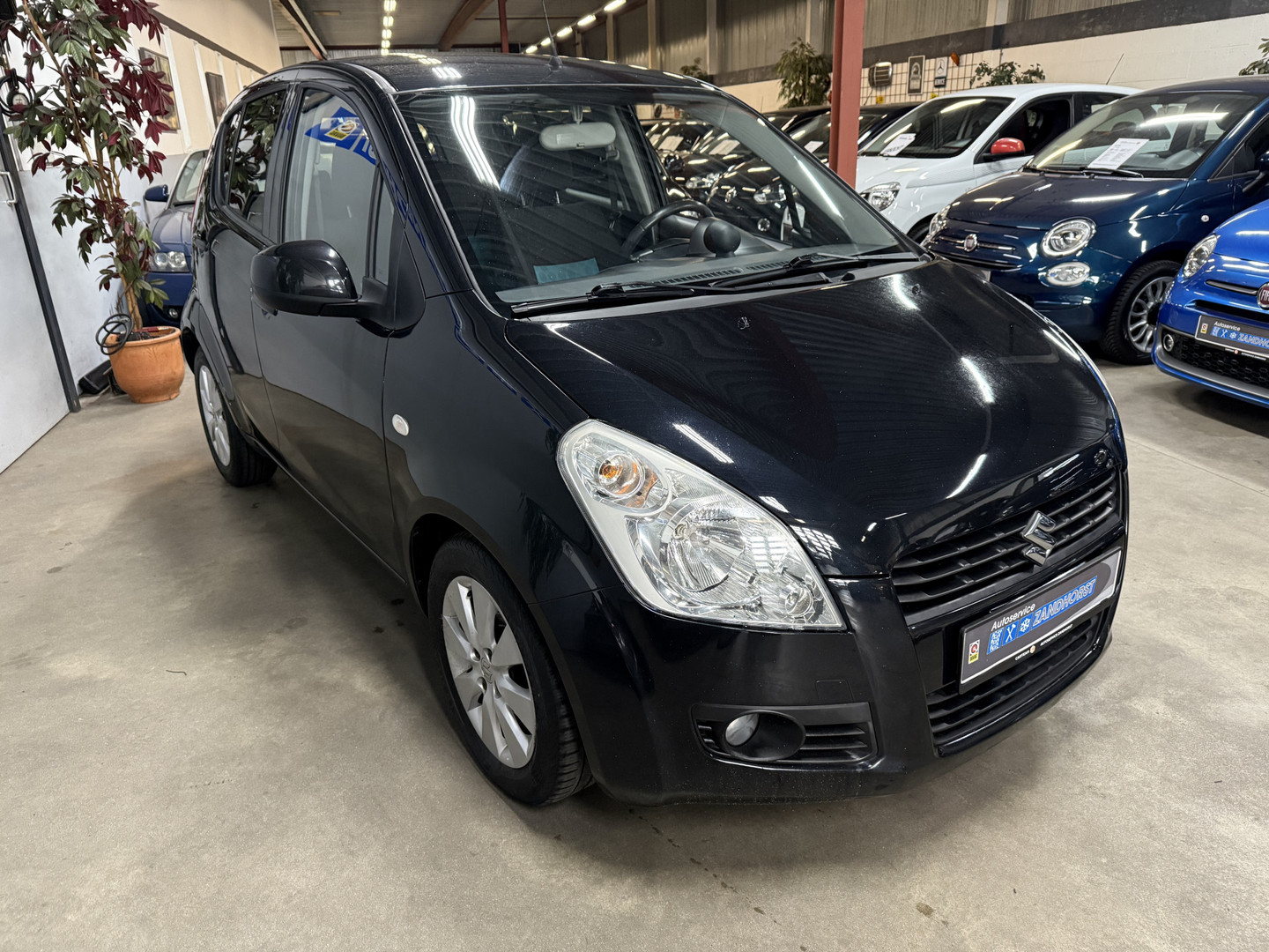 Suzuki Suzuki