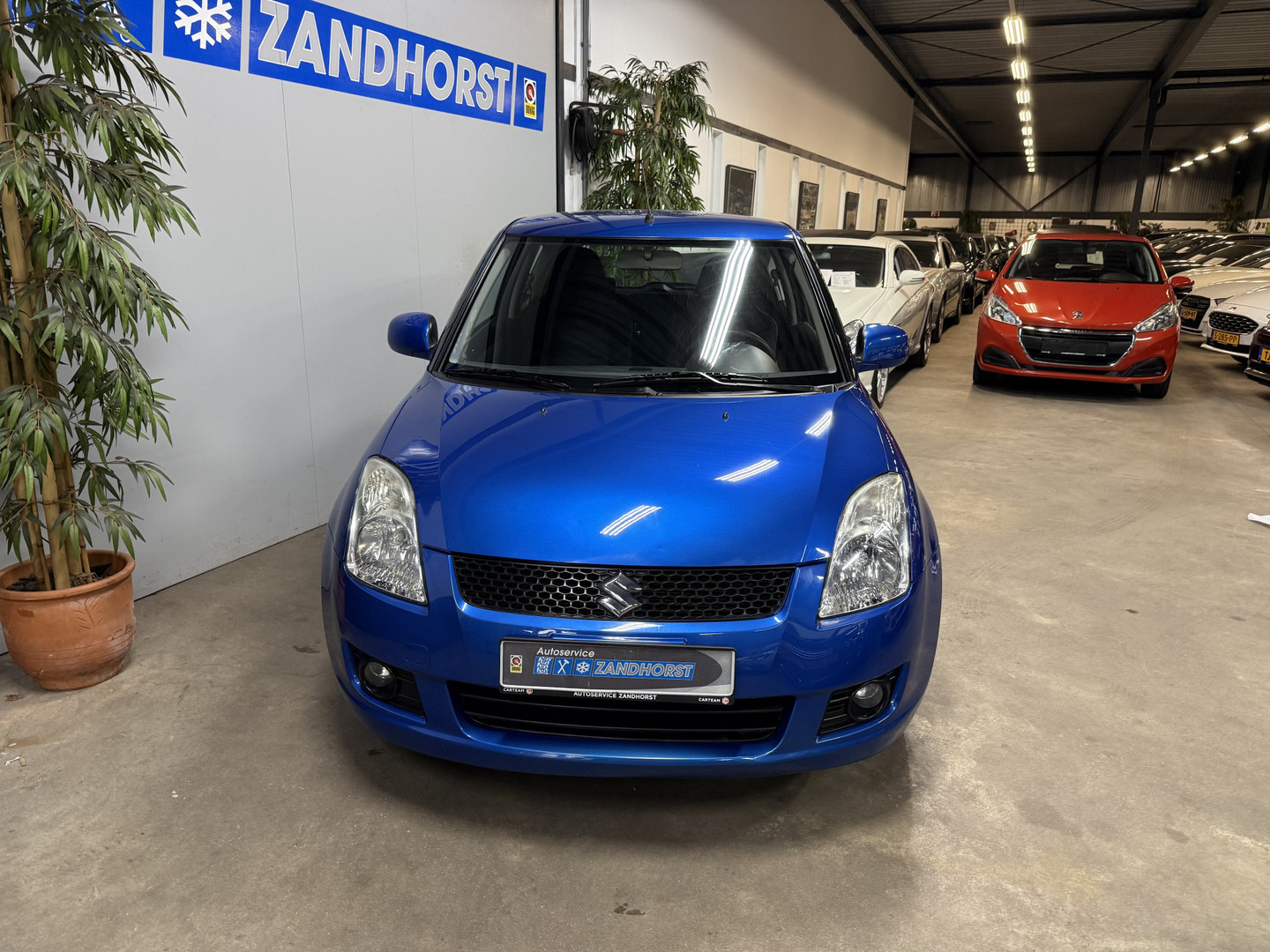 Suzuki