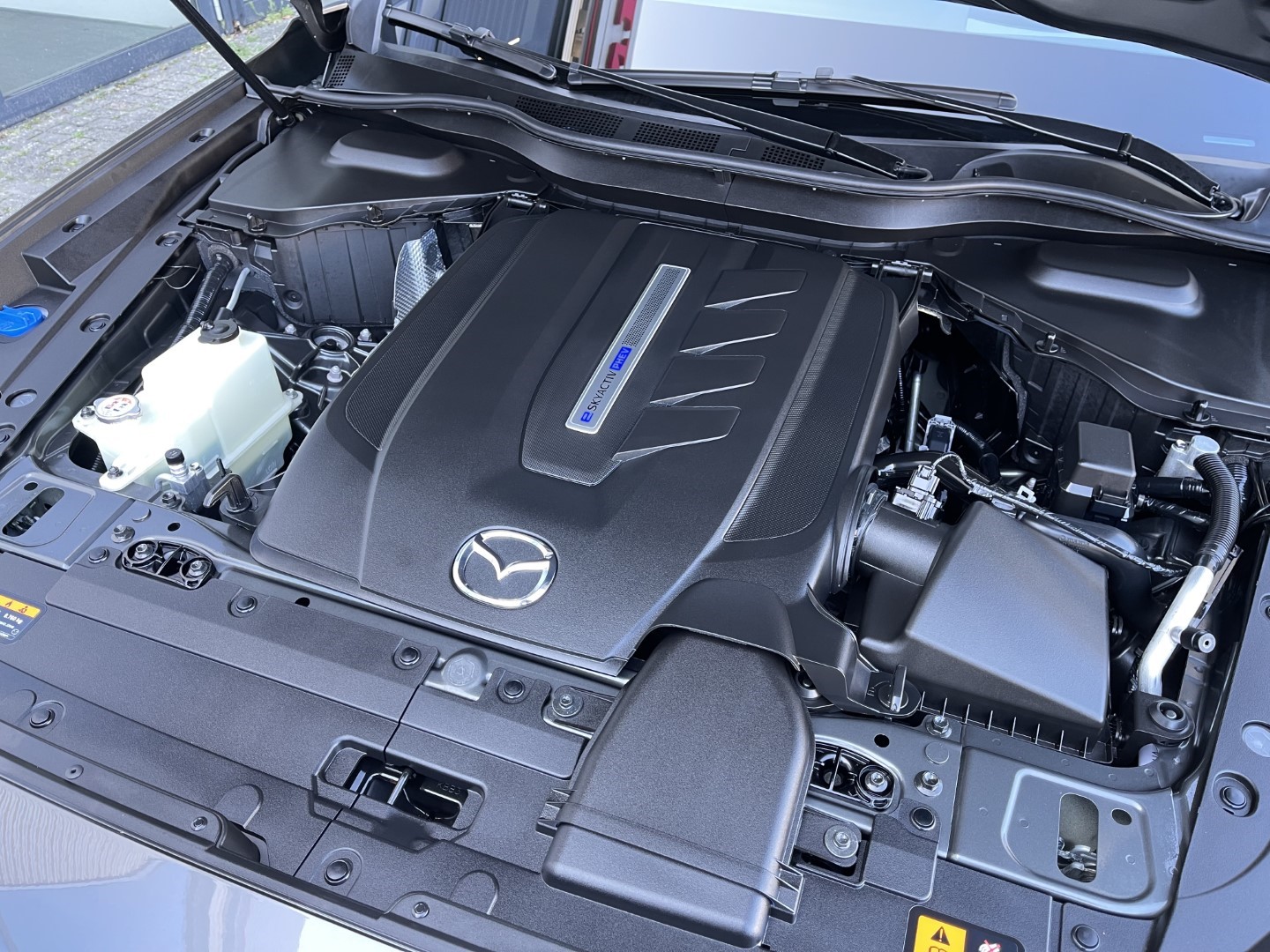 Mazda Mazda