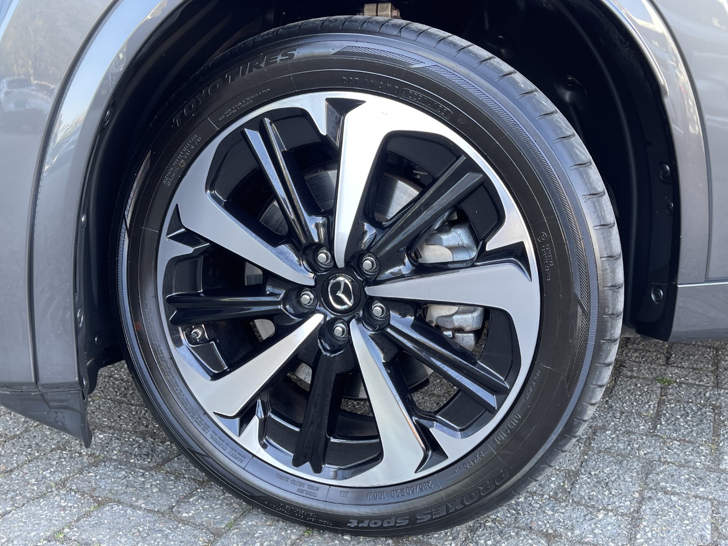 Mazda Mazda