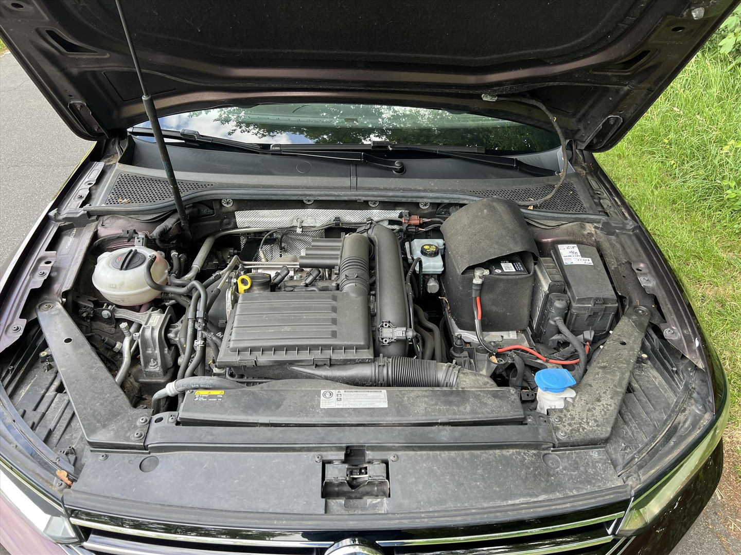 Volkswagen Volkswagen