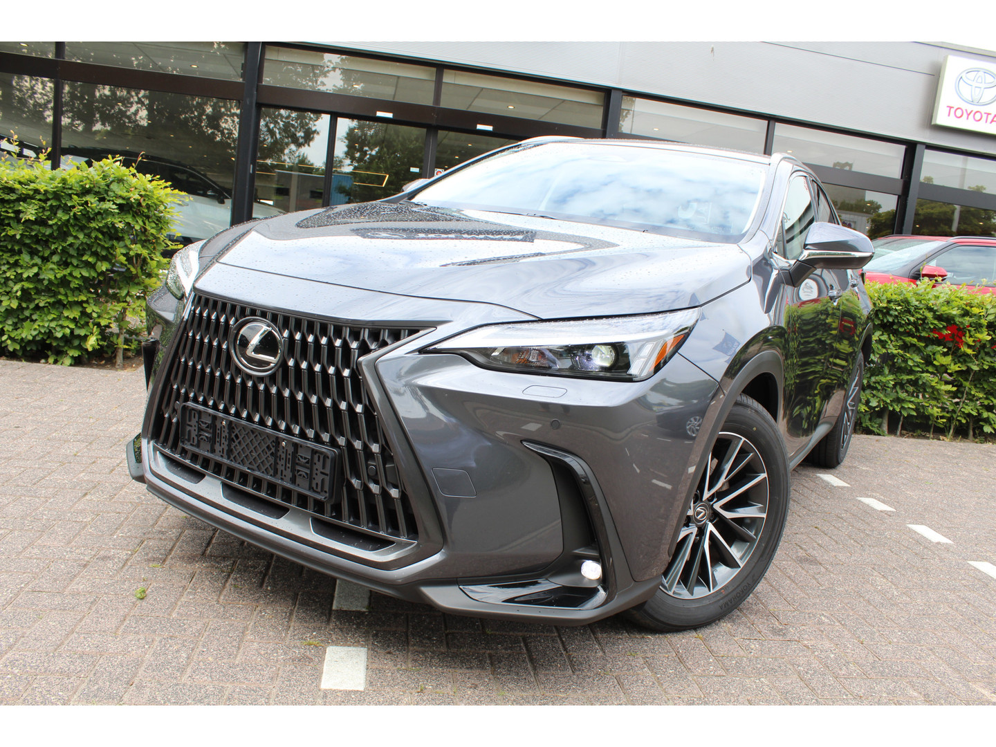 Lexus