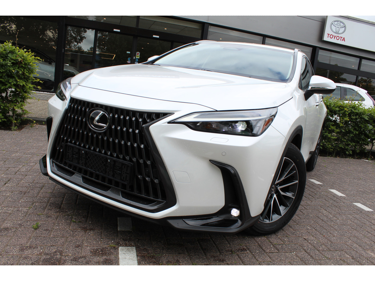Lexus