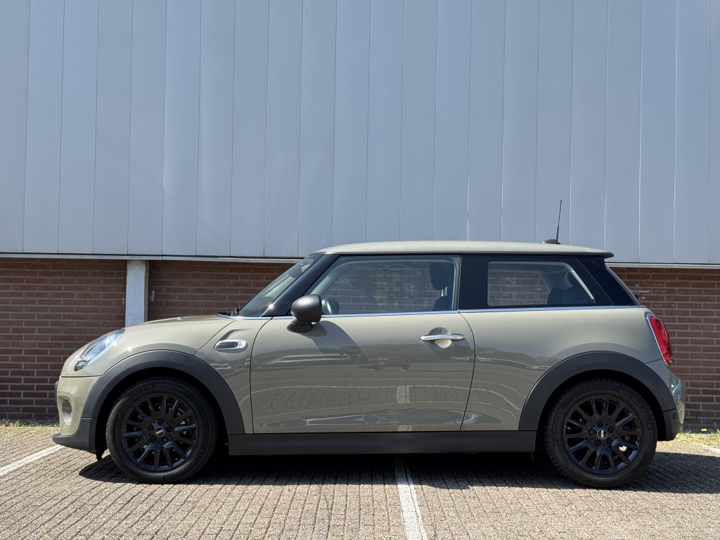 MINI MINI