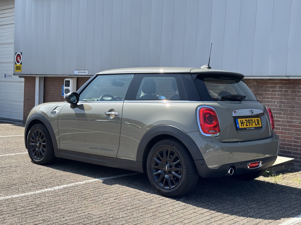 MINI MINI