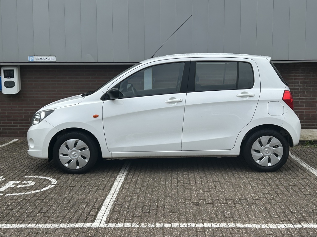 Suzuki Suzuki