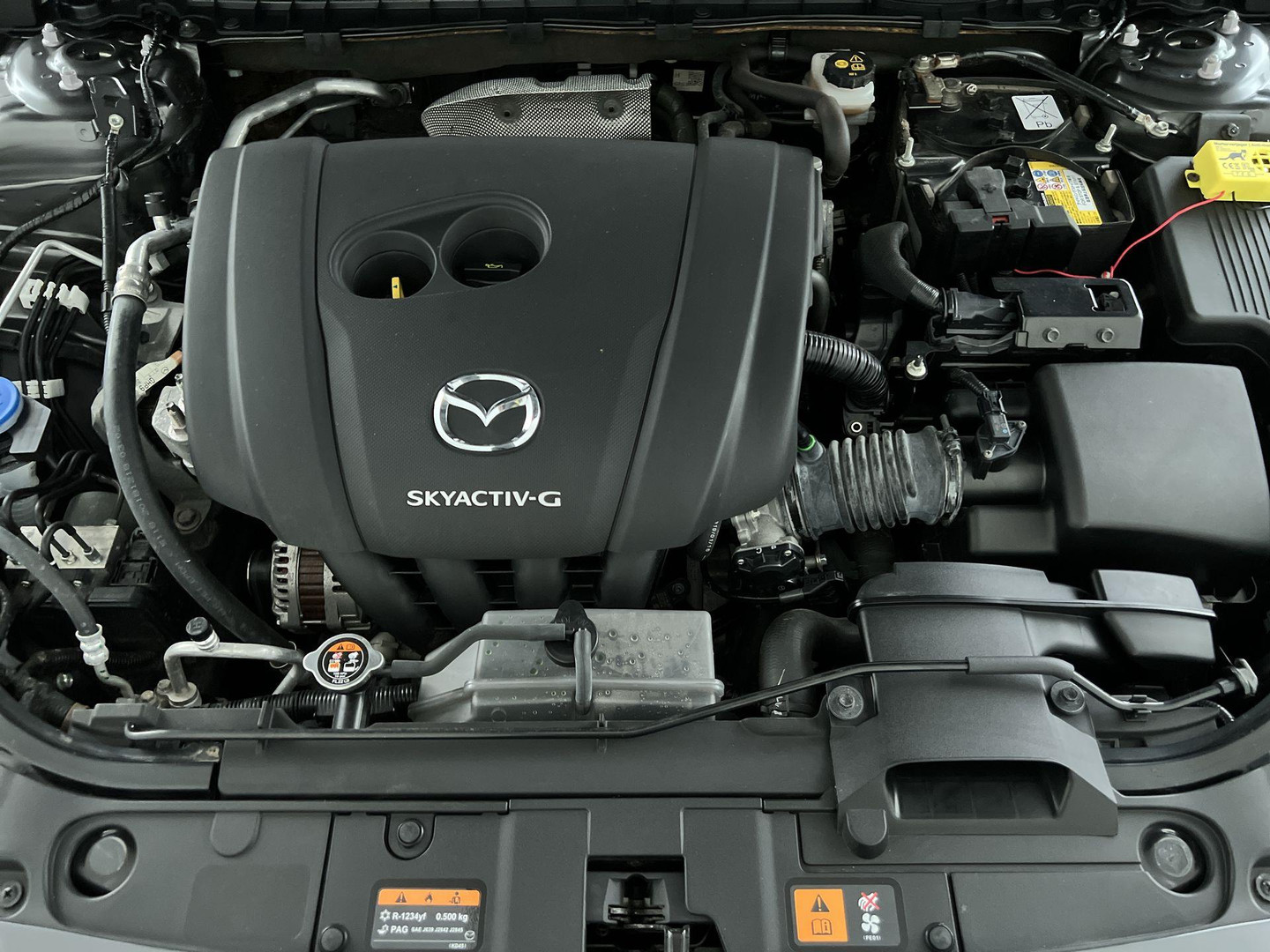 Mazda Mazda