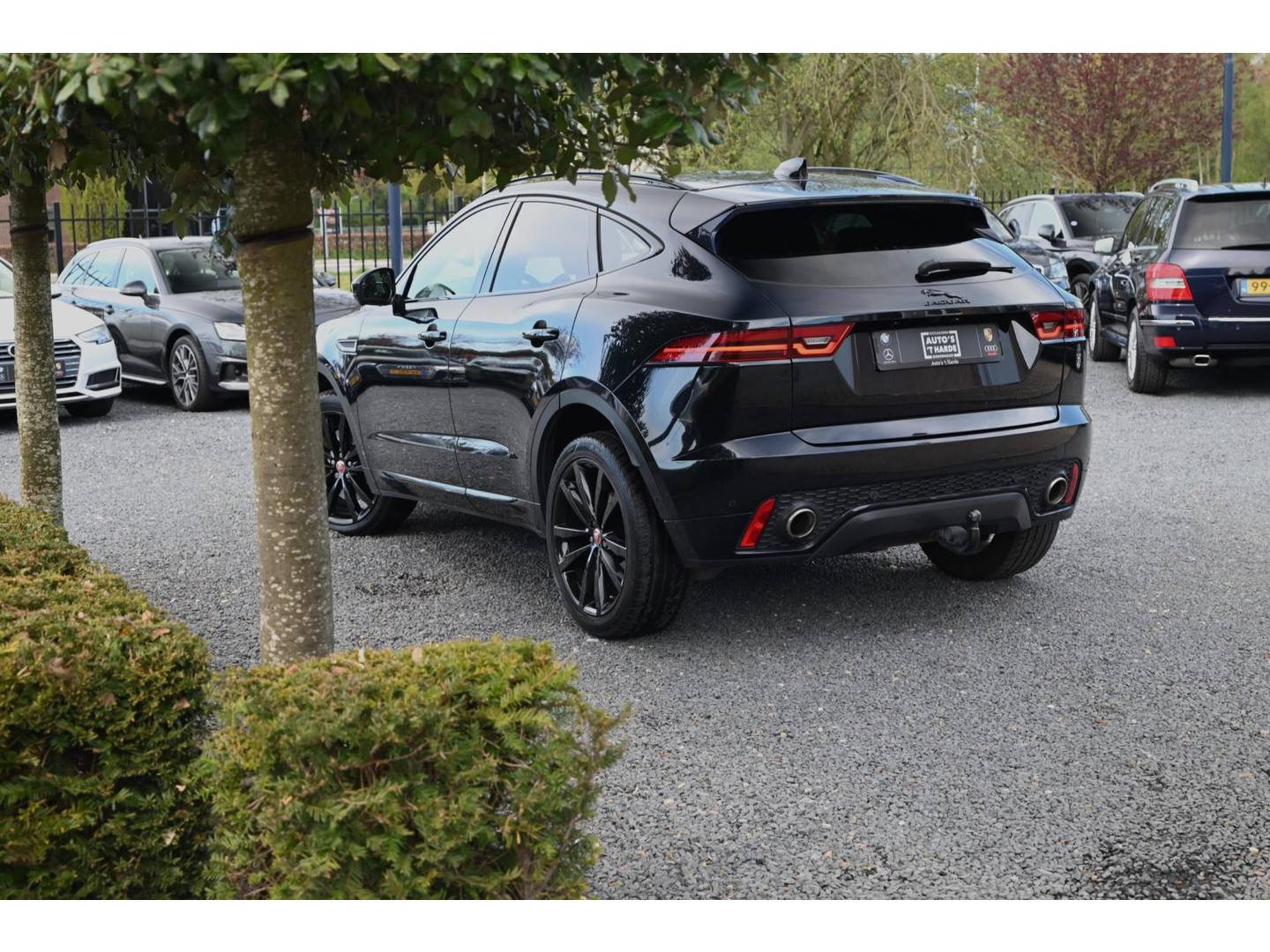 Jaguar