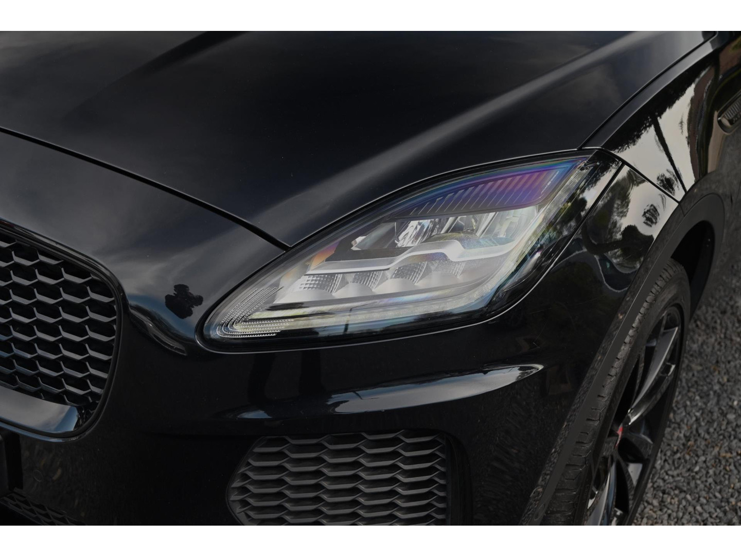 Jaguar