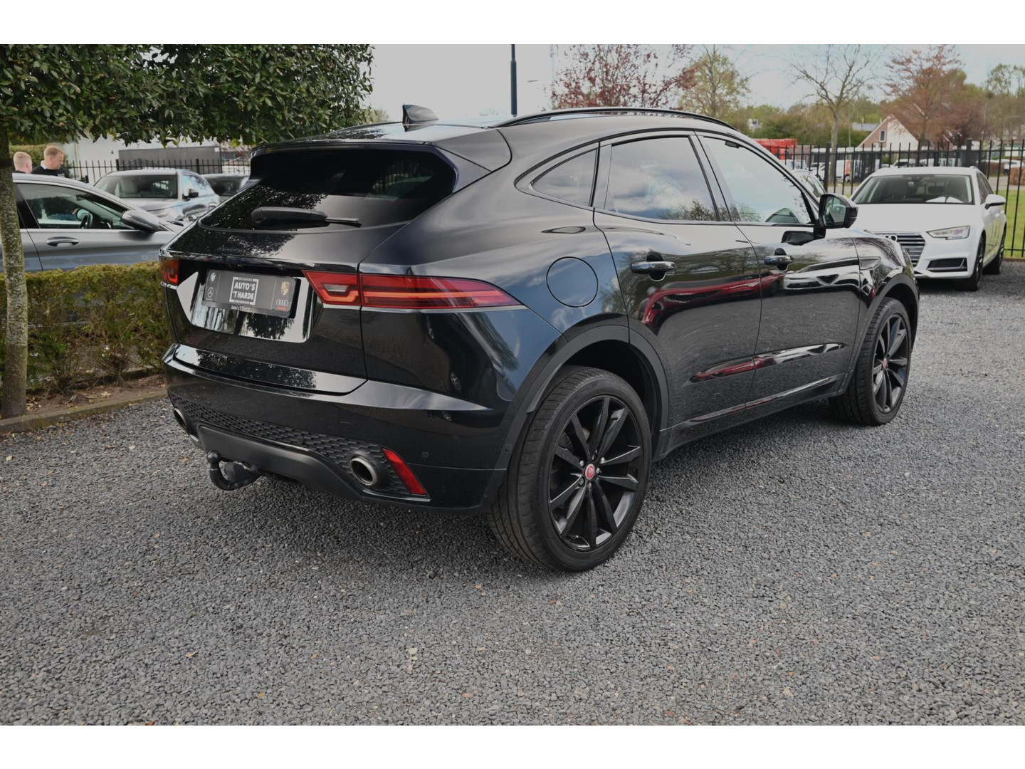 Jaguar