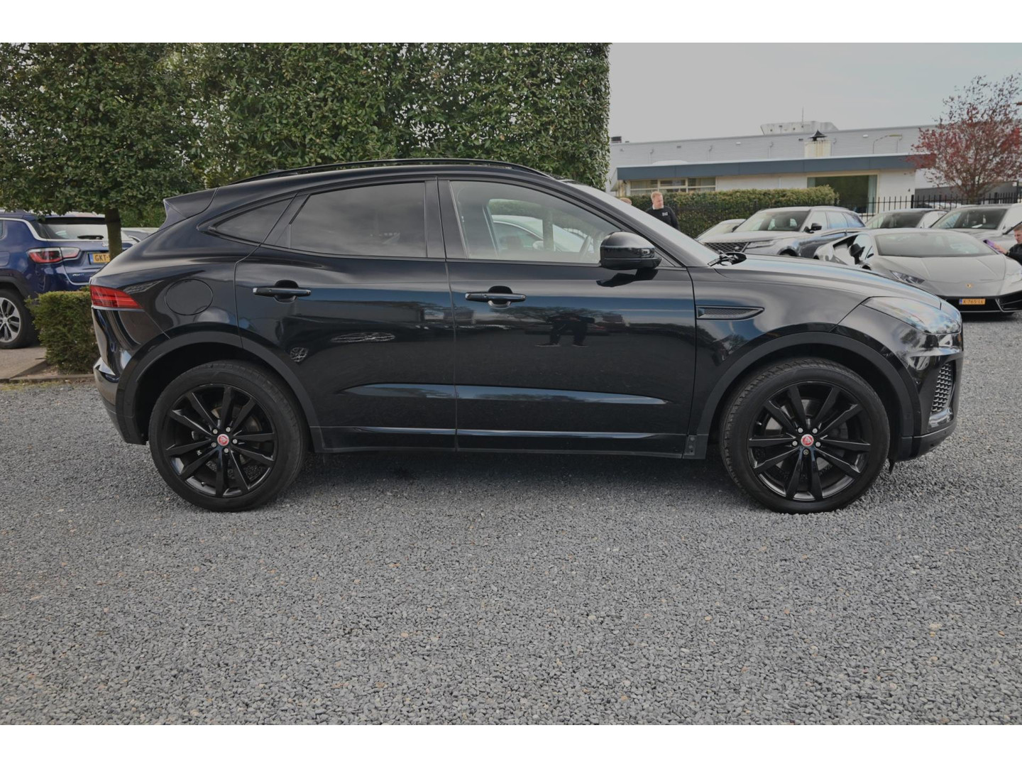 Jaguar