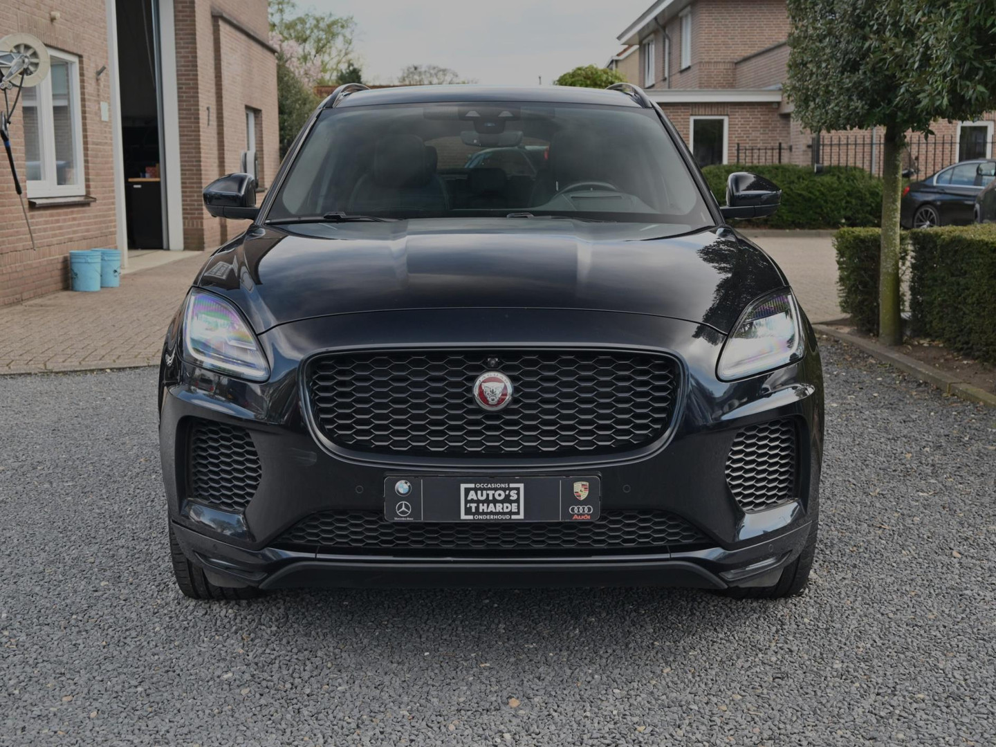Jaguar