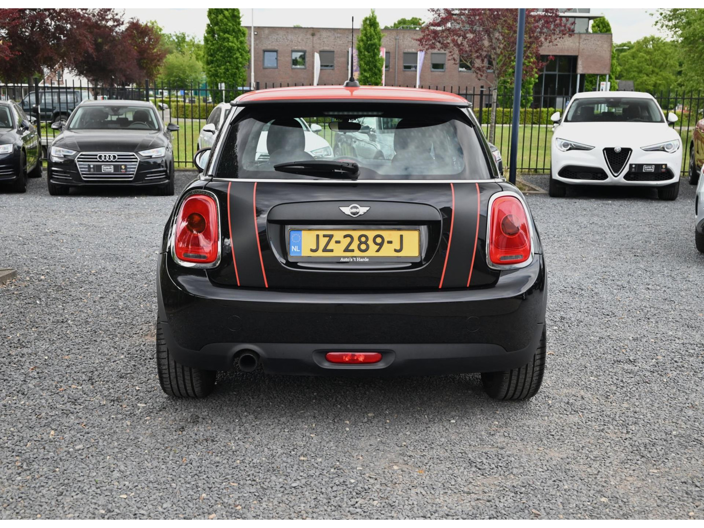 MINI MINI