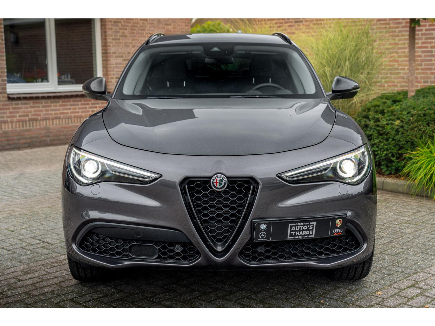 Alfa Romeo Alfa Romeo