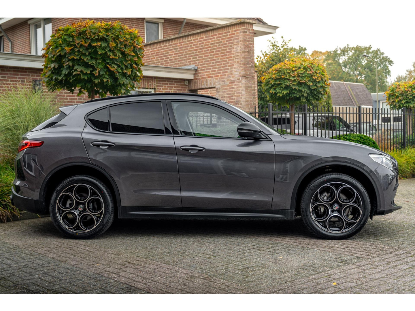 Alfa Romeo Alfa Romeo