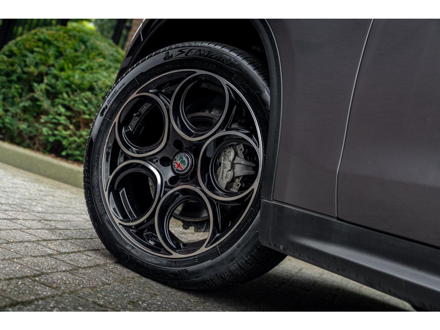Alfa Romeo Alfa Romeo
