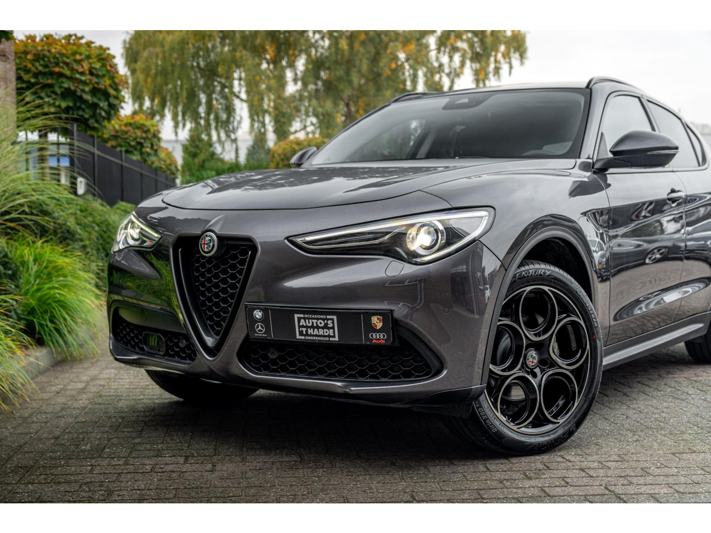 Alfa Romeo Alfa Romeo