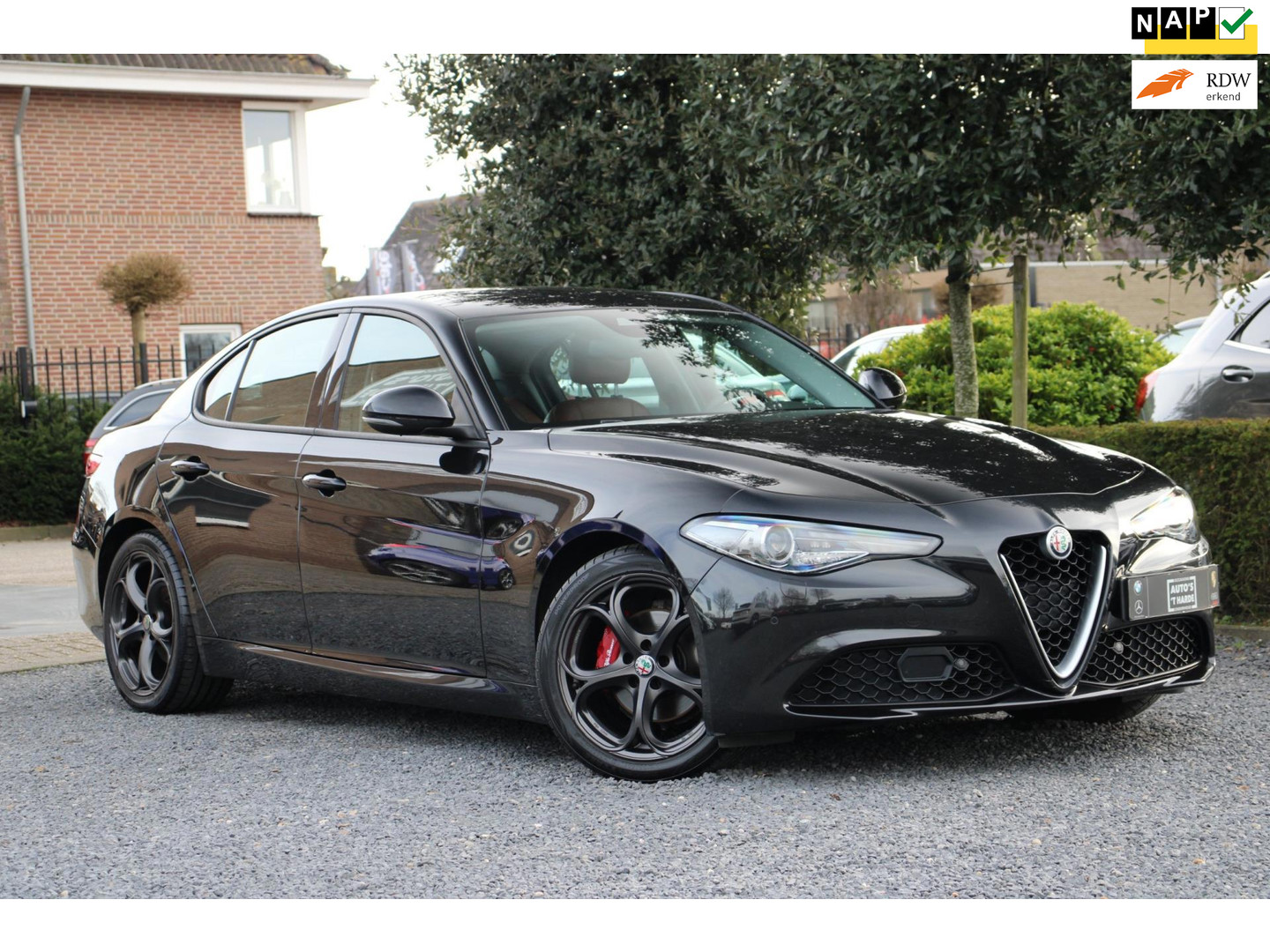 Alfa Romeo Alfa Romeo