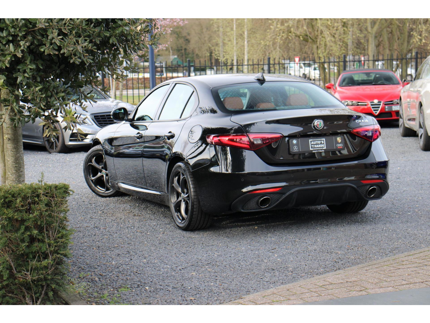 Alfa Romeo Alfa Romeo