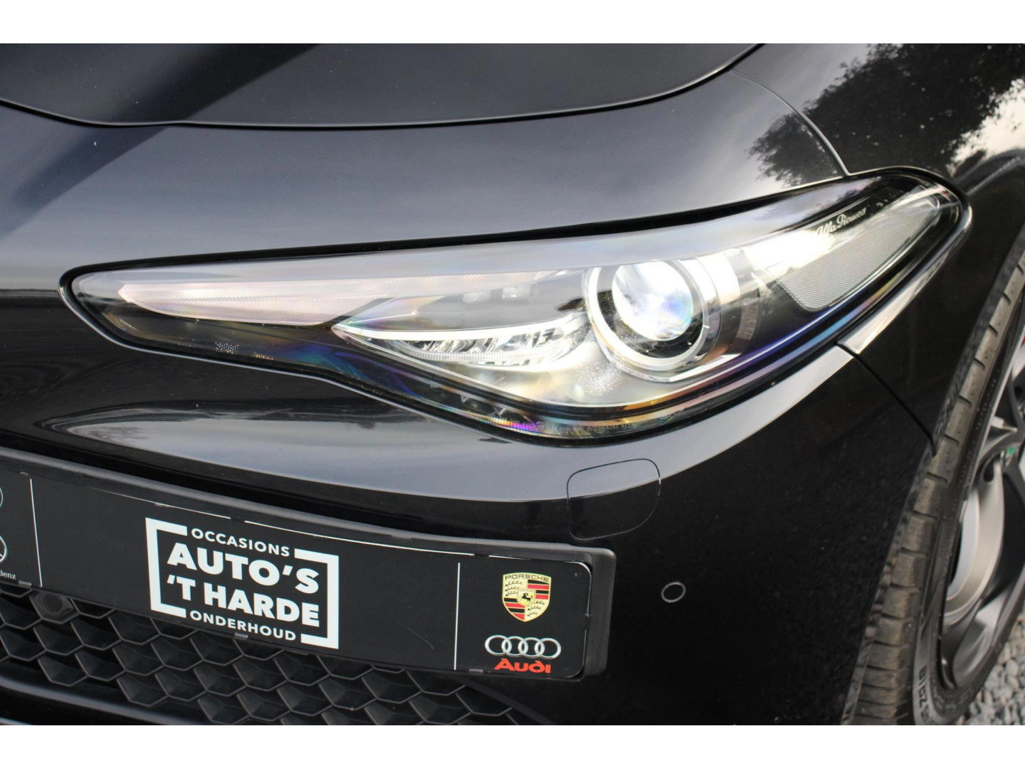 Alfa Romeo Alfa Romeo