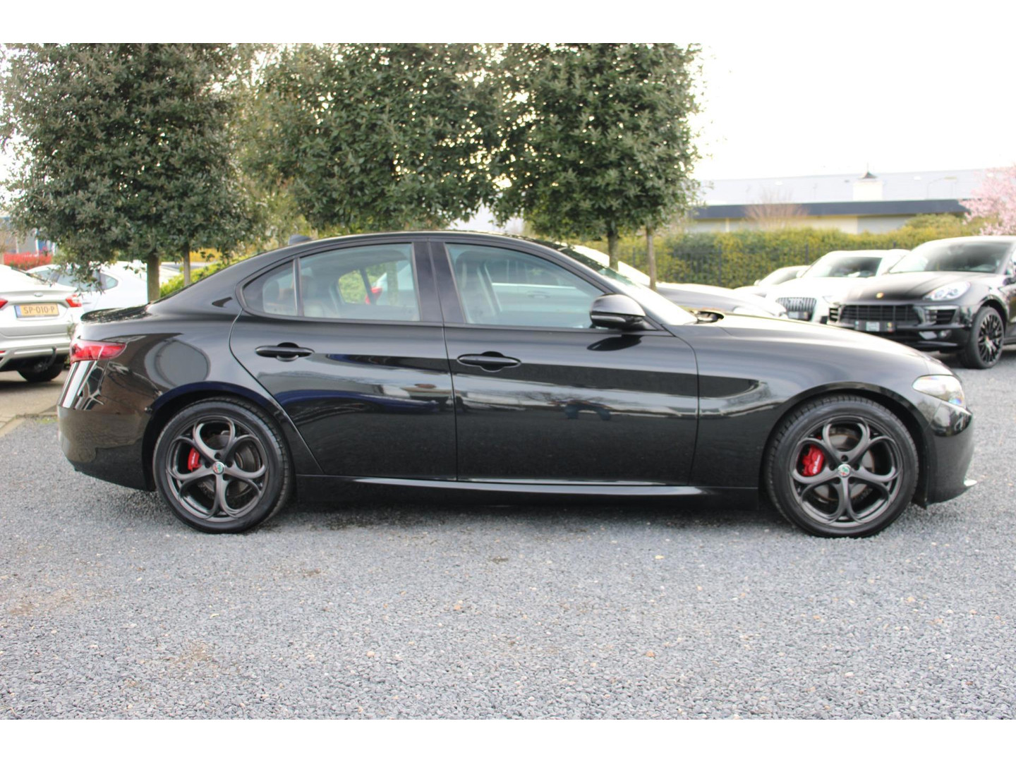 Alfa Romeo Alfa Romeo