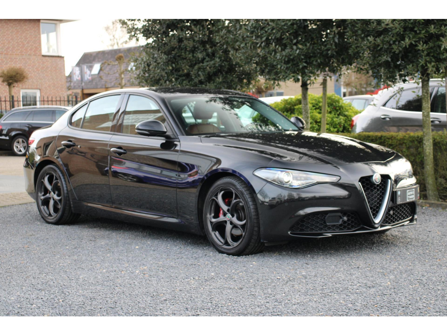 Alfa Romeo Alfa Romeo