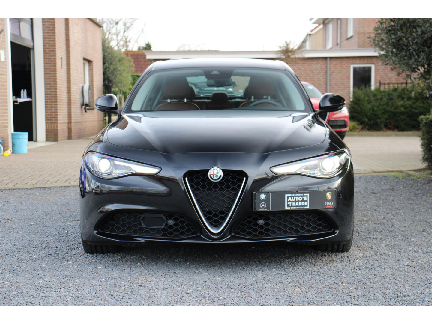 Alfa Romeo Alfa Romeo