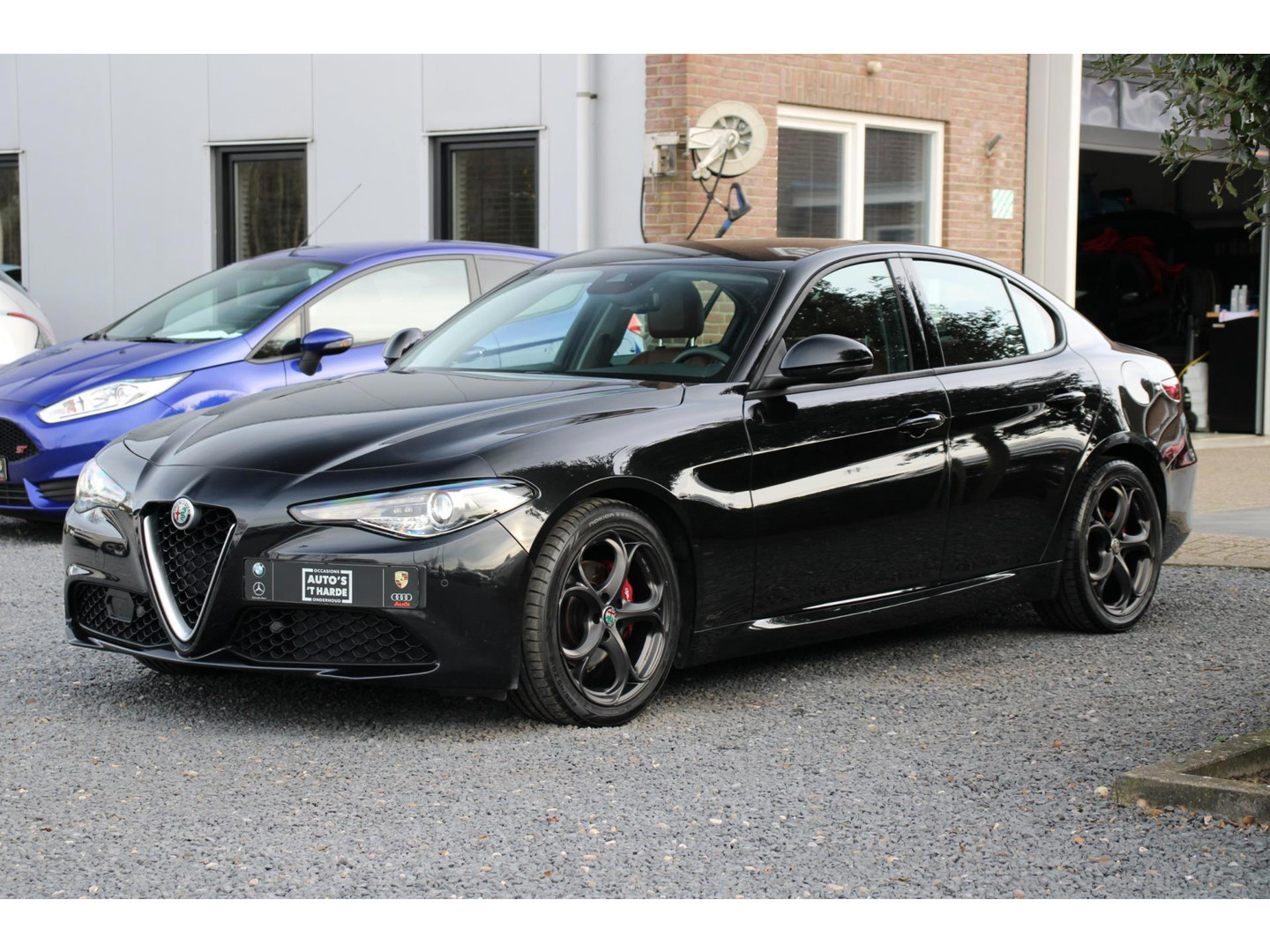Alfa Romeo Alfa Romeo