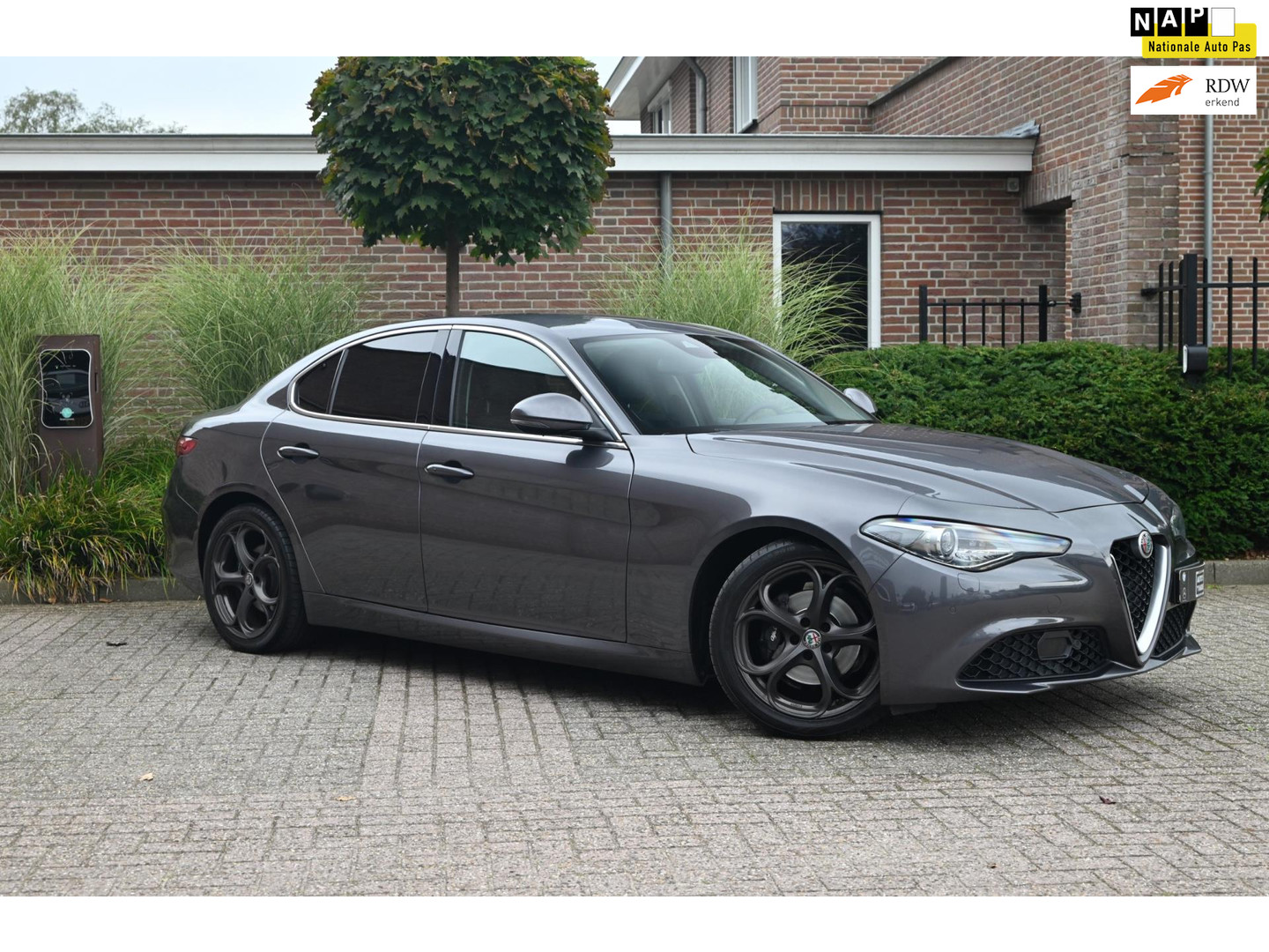 Alfa Romeo Alfa Romeo