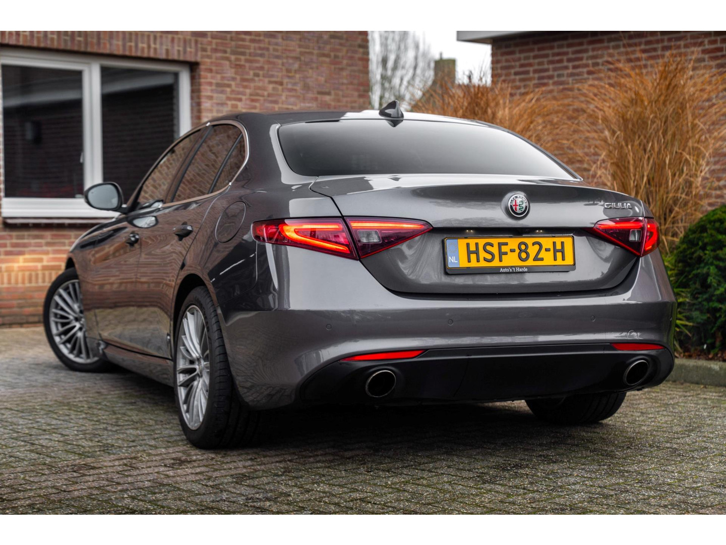 Alfa Romeo Alfa Romeo