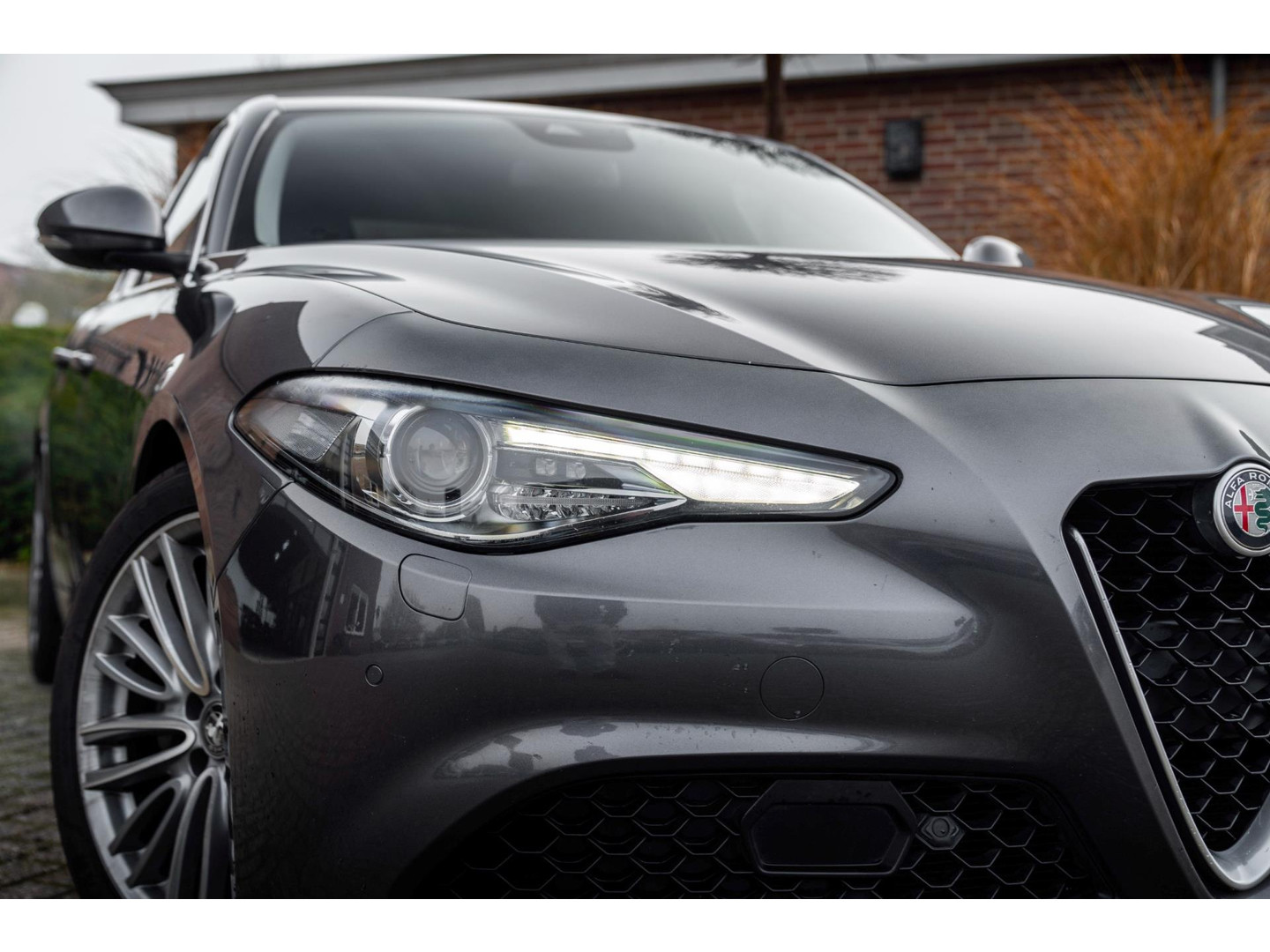 Alfa Romeo Alfa Romeo