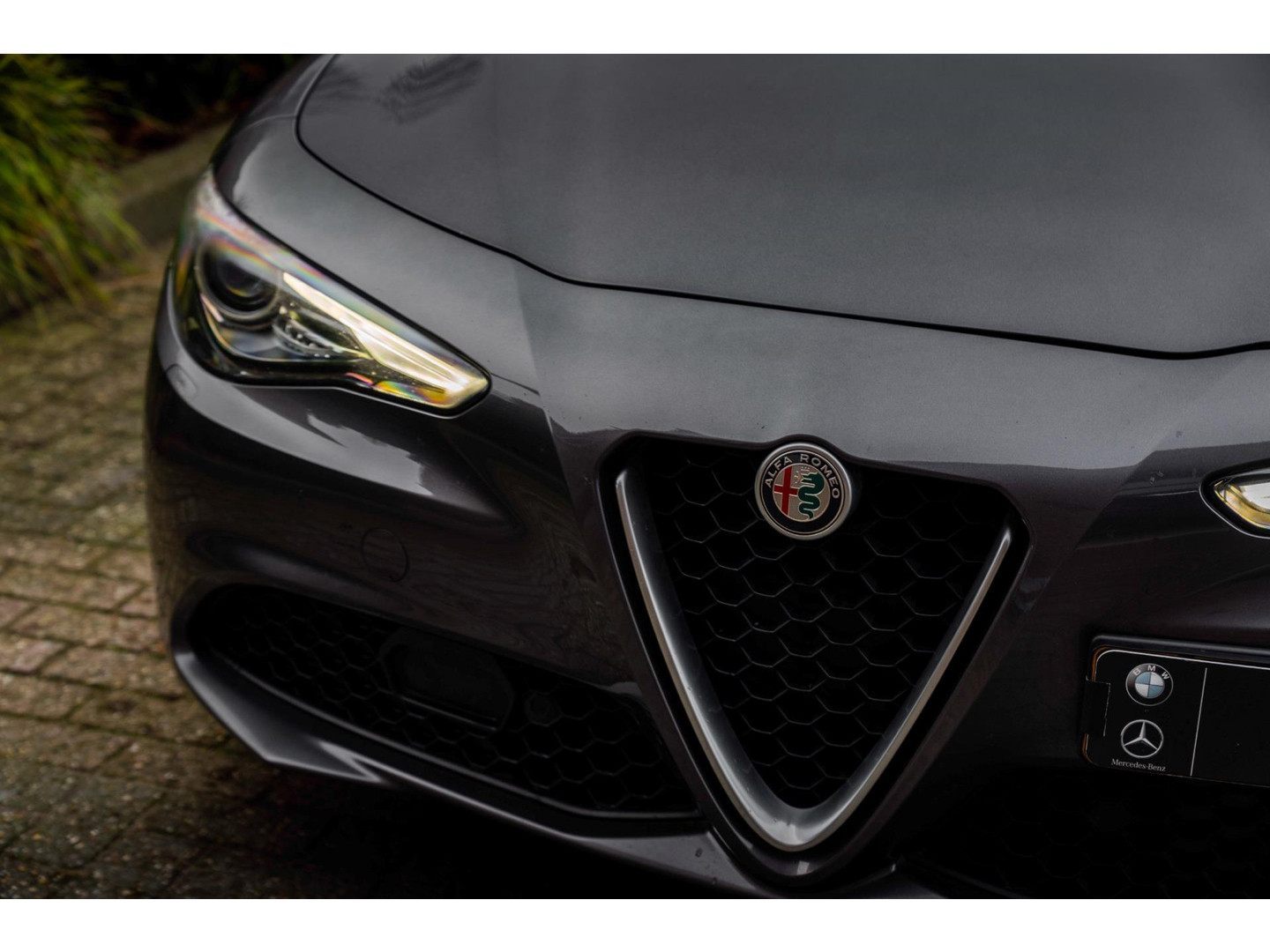 Alfa Romeo Alfa Romeo