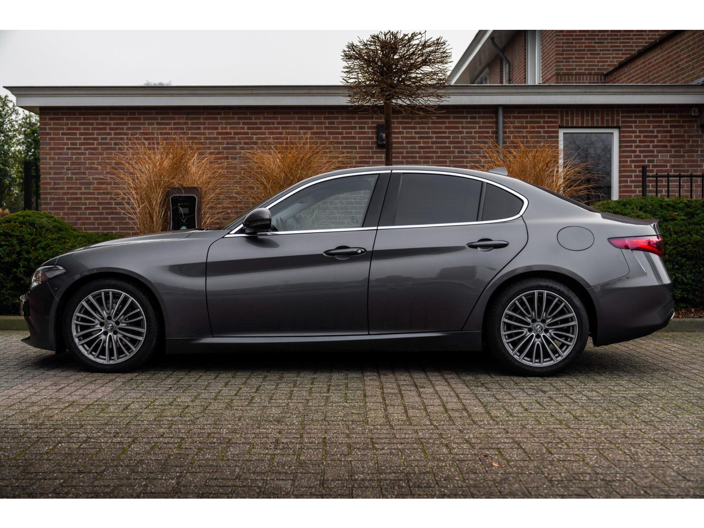 Alfa Romeo Alfa Romeo