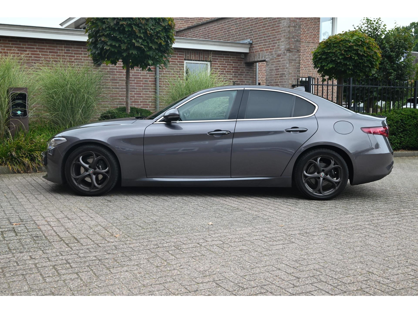 Alfa Romeo Alfa Romeo