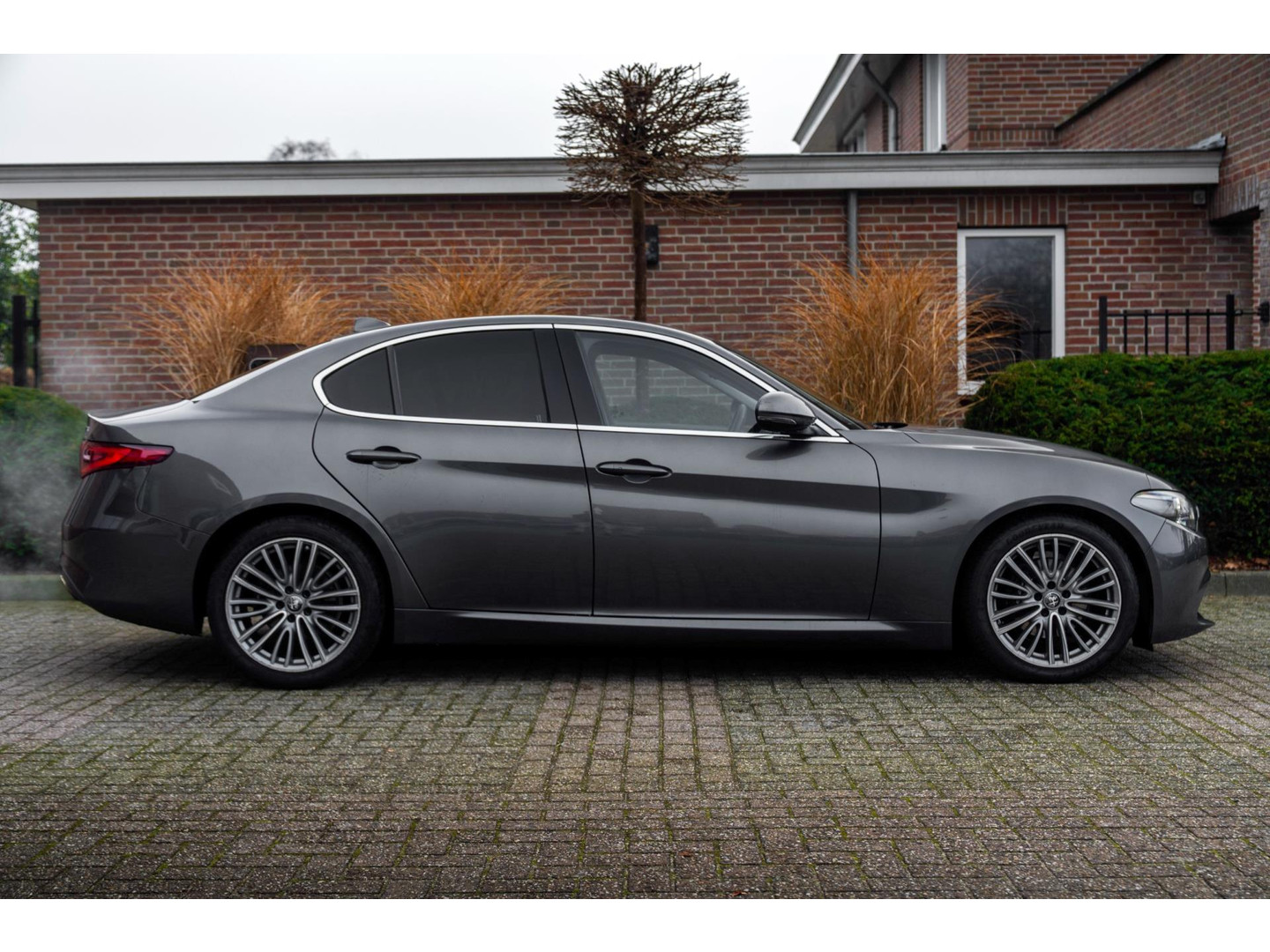 Alfa Romeo Alfa Romeo