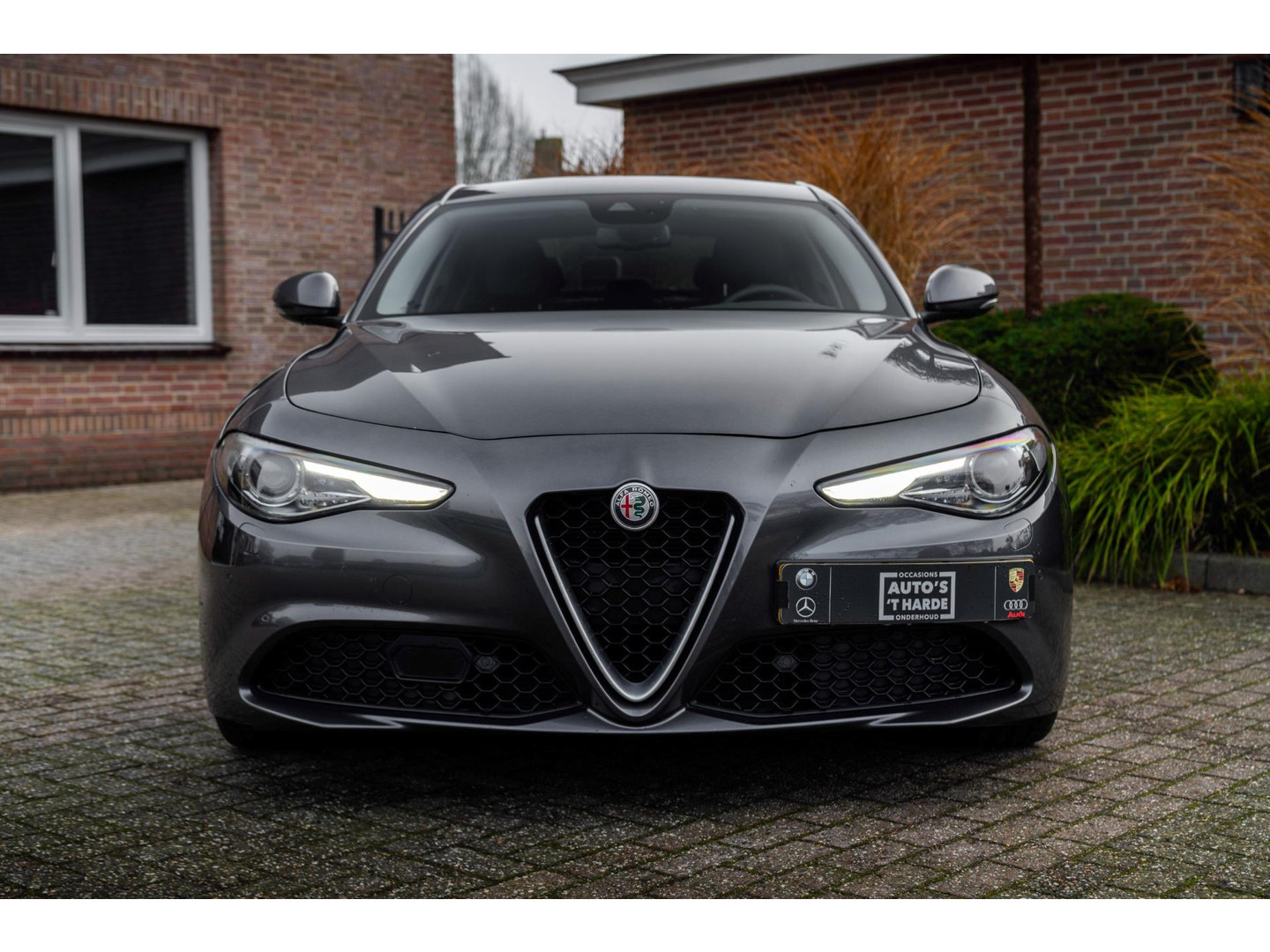 Alfa Romeo Alfa Romeo