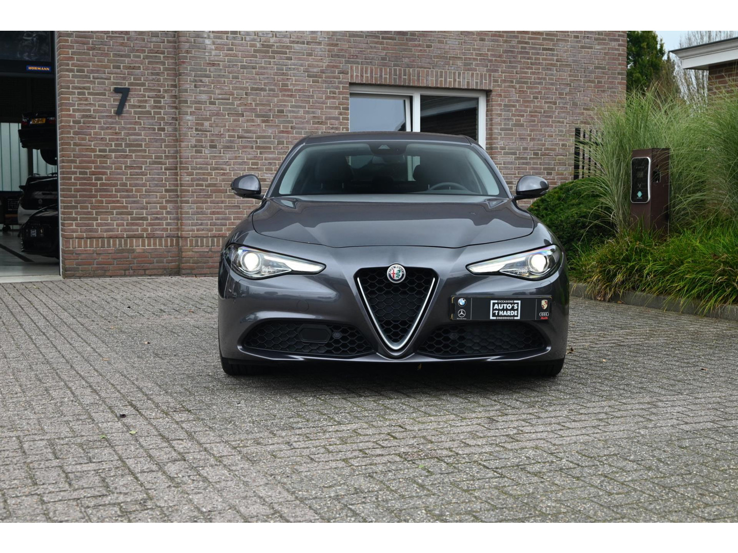 Alfa Romeo Alfa Romeo