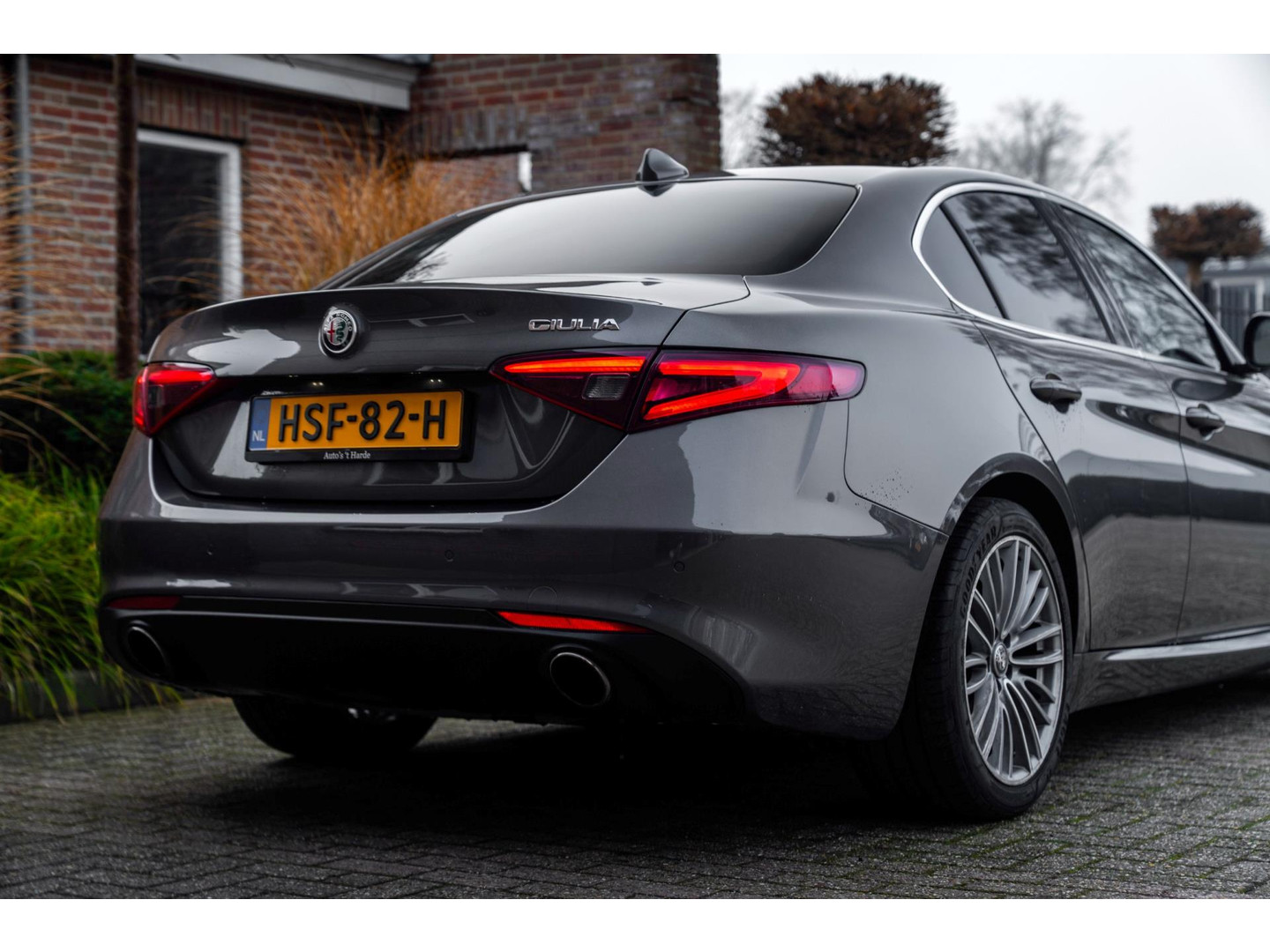 Alfa Romeo Alfa Romeo