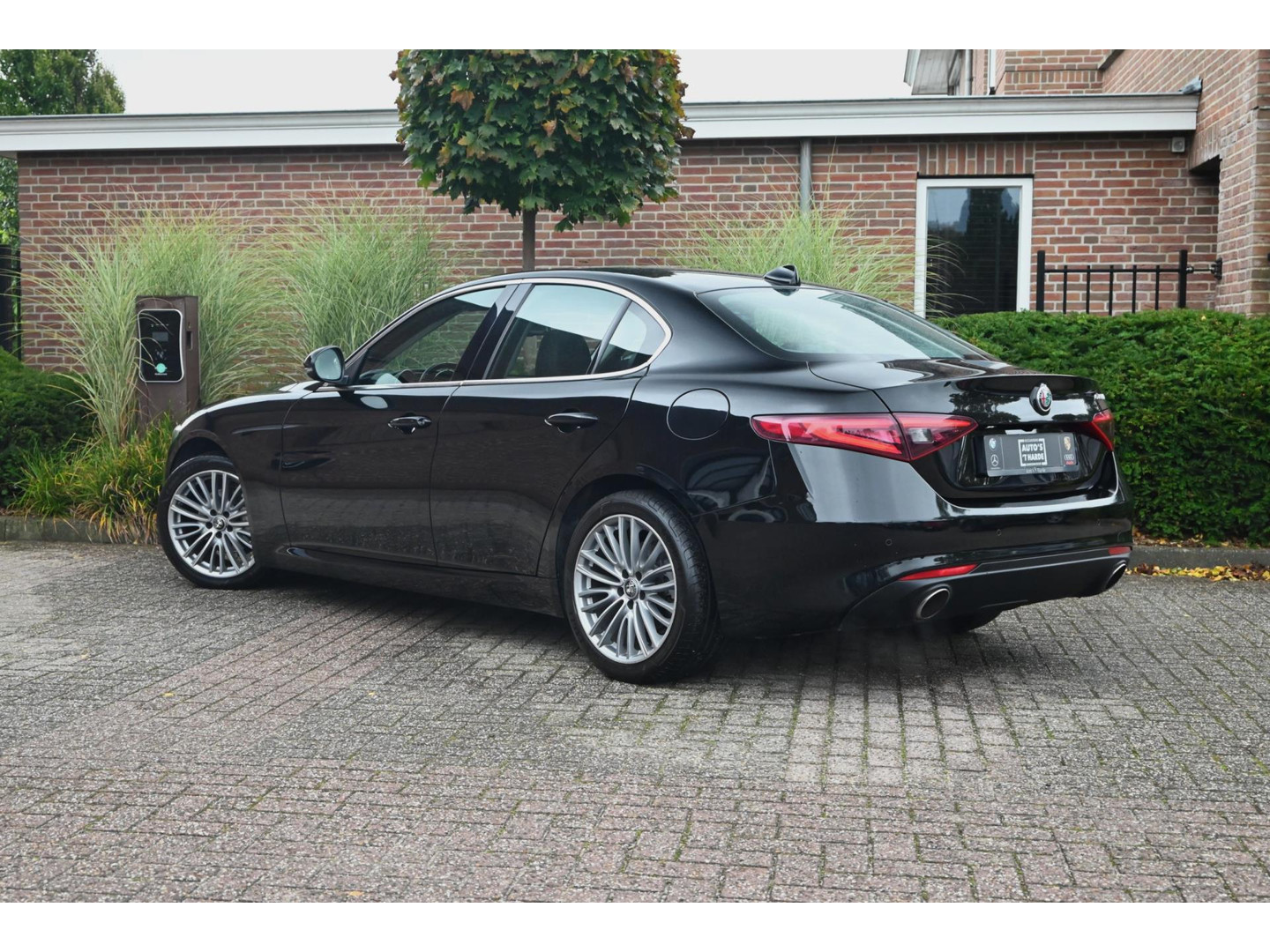 Alfa Romeo Alfa Romeo