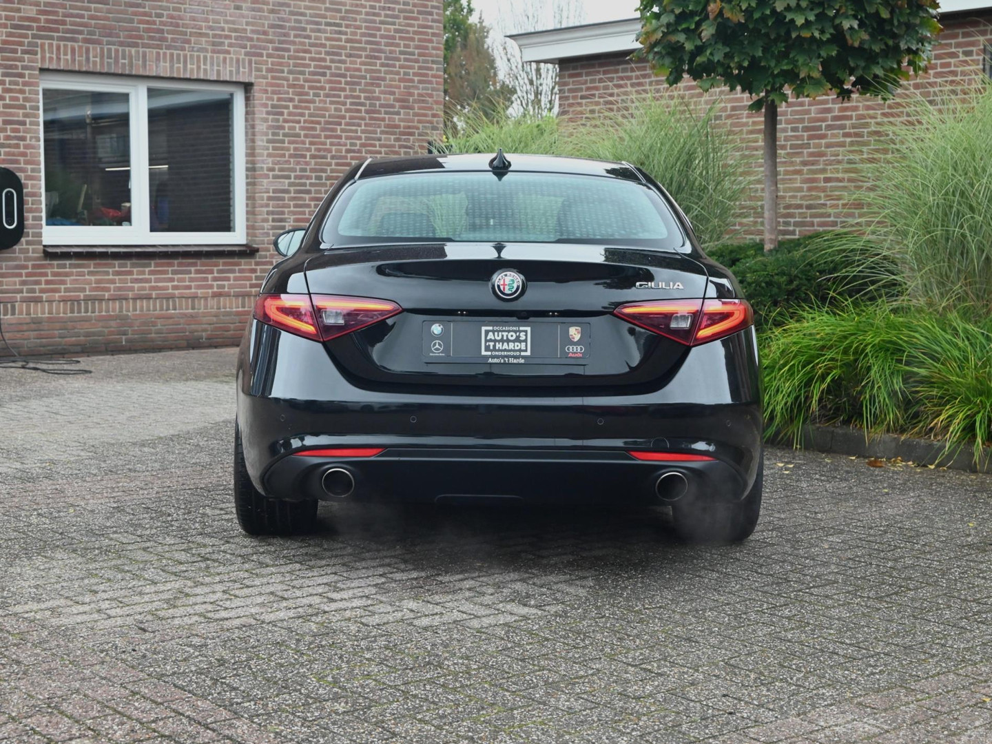 Alfa Romeo Alfa Romeo