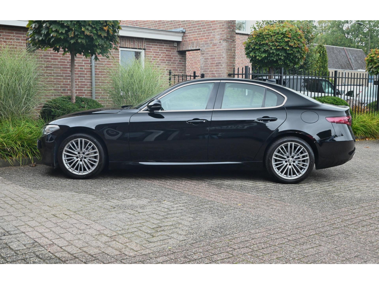 Alfa Romeo Alfa Romeo