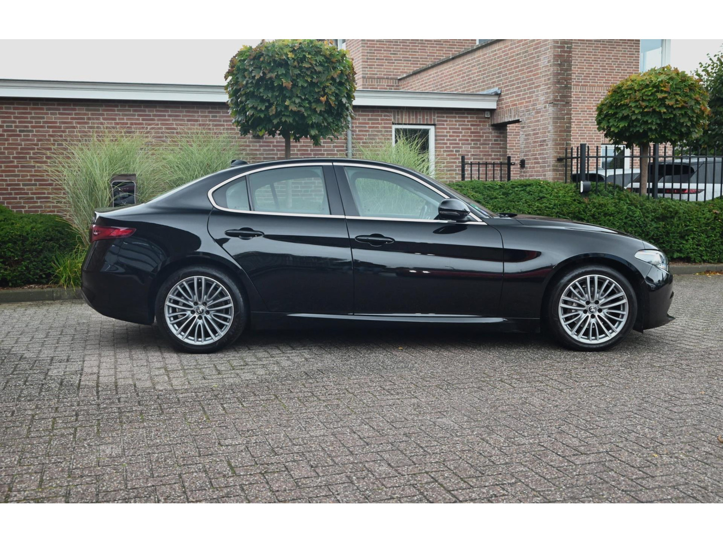 Alfa Romeo Alfa Romeo