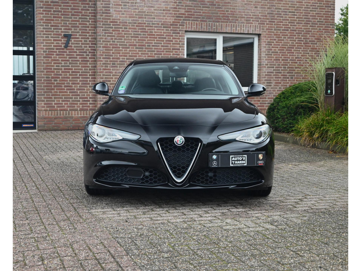 Alfa Romeo Alfa Romeo