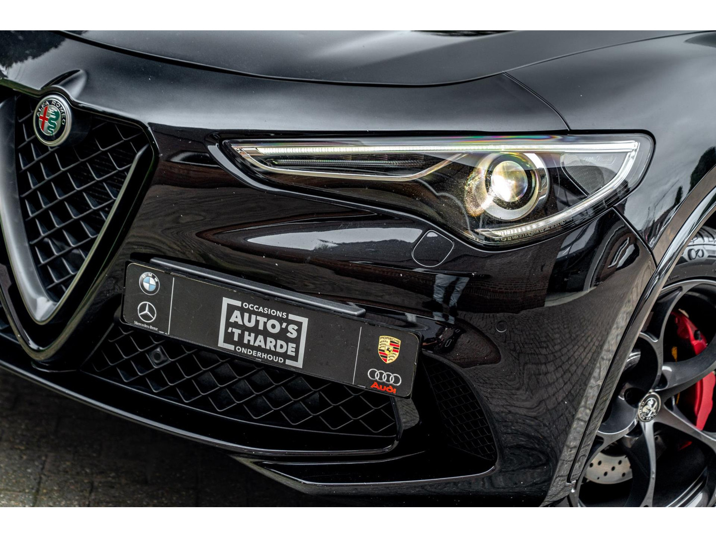 Alfa Romeo Alfa Romeo