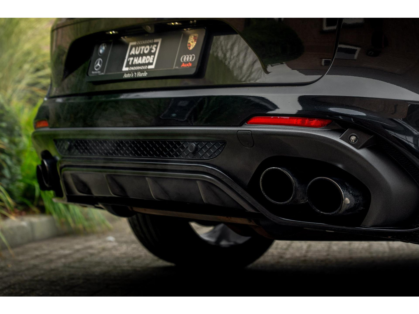 Alfa Romeo Alfa Romeo