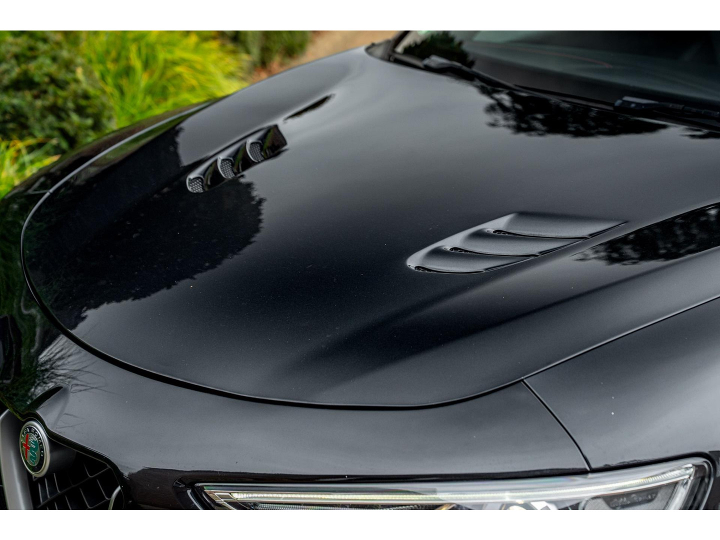 Alfa Romeo Alfa Romeo