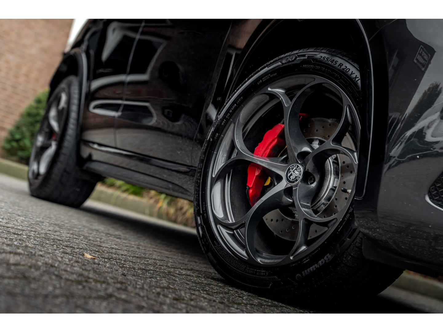 Alfa Romeo Alfa Romeo