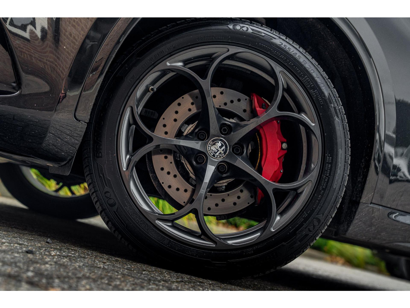 Alfa Romeo Alfa Romeo