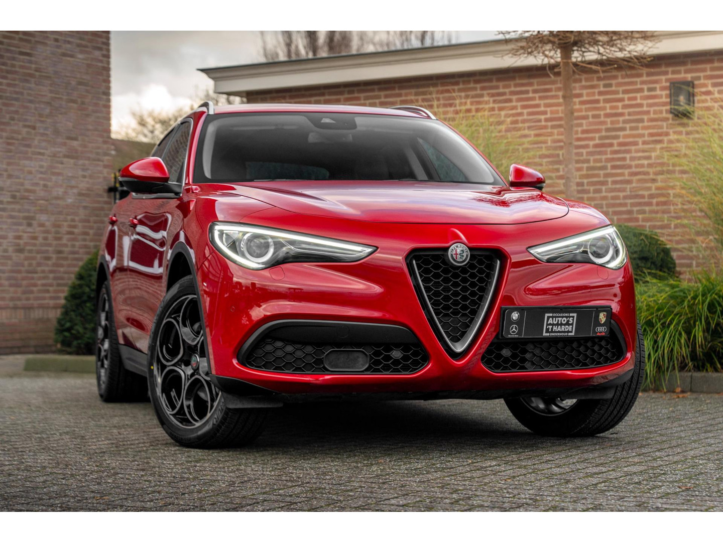 Alfa Romeo Alfa Romeo